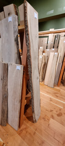 Spalted Oak 240x30x1.66