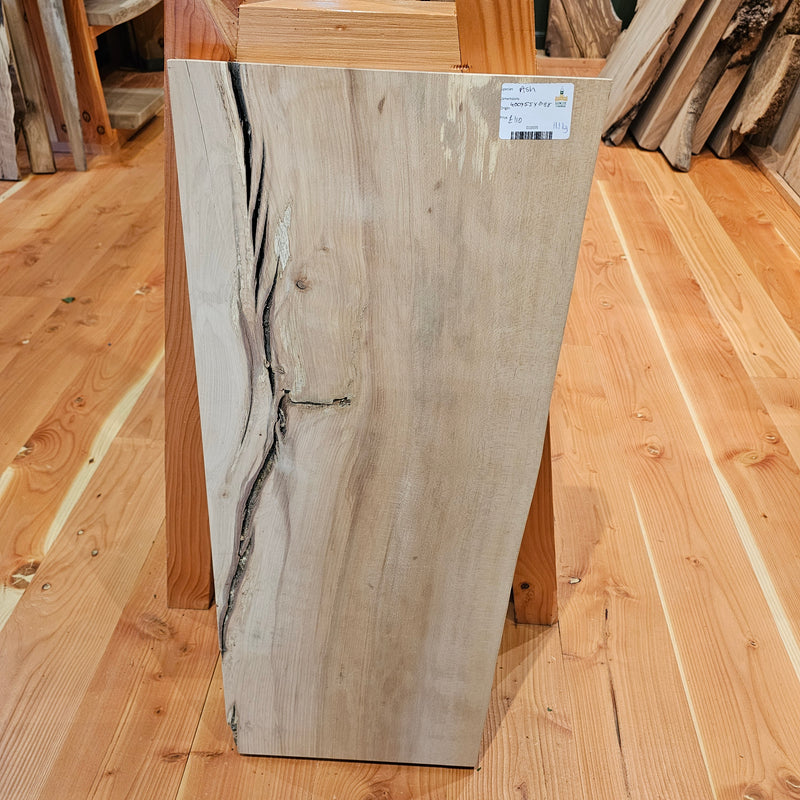 Ash 400x55x0.88