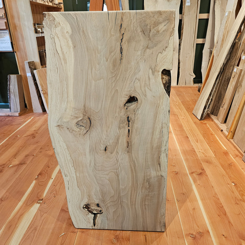 Spalted Beech Table Top