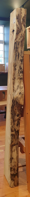 Spalted Beech  (W) 248mm x (D) 104mm x (L) 1.895m