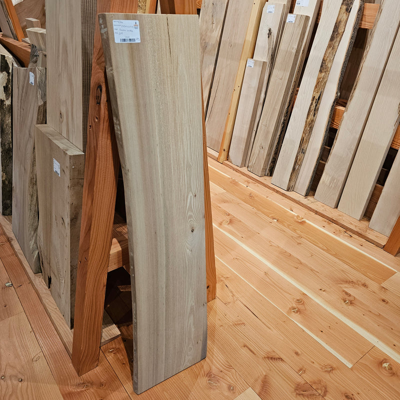 Elm 250x23x1.15