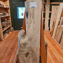 Spalted Beech 230 x 35 x 1.47