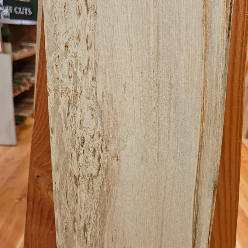 Spalted Elm 200 x 20 x 1.34