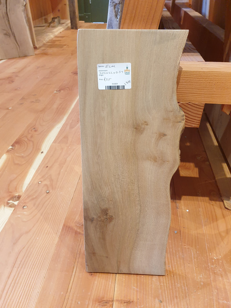 Elm 205*22*0.57