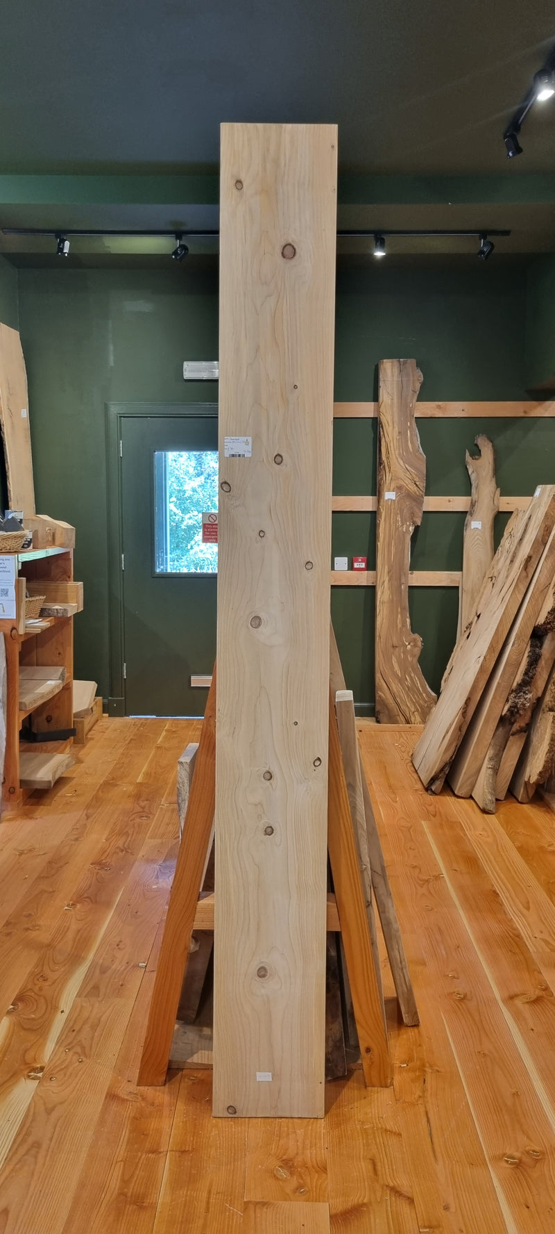 Hemlock 270 x 24 x 2.35