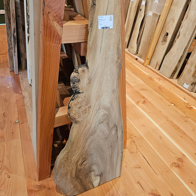 Elm 410 x 20 x 1.1