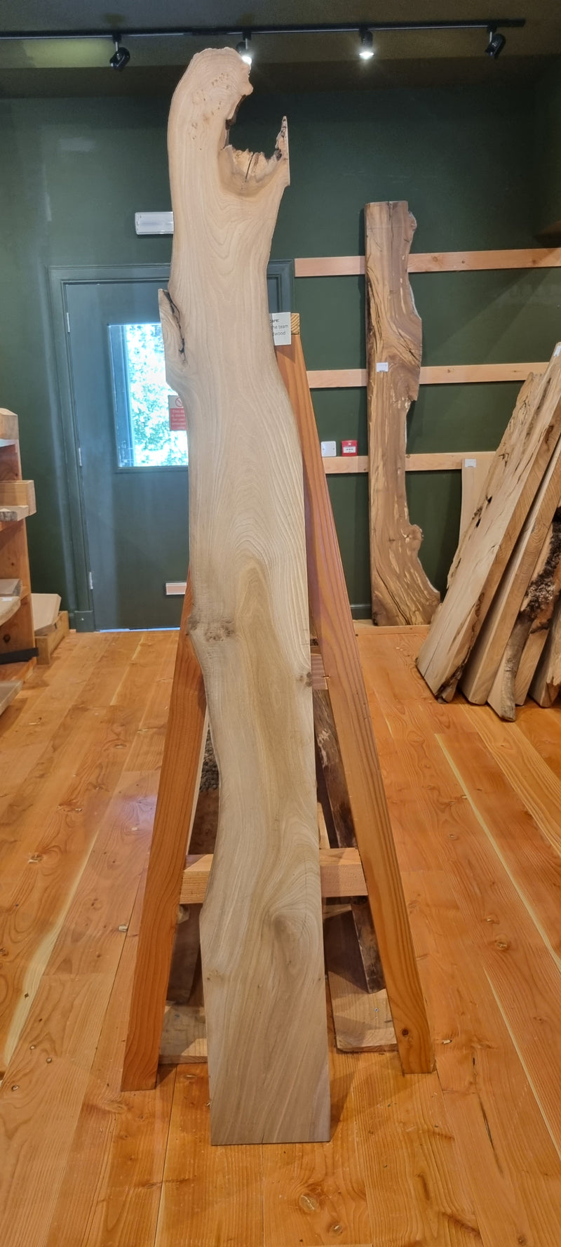 Elm 228 x 20 x 1.92