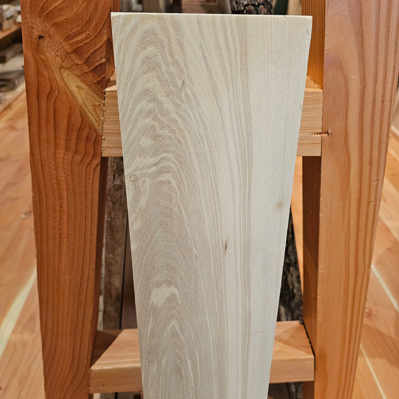 Elm 150x45x0.98