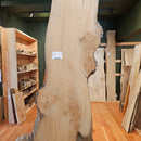 Elm 360 x 24 x 1.88