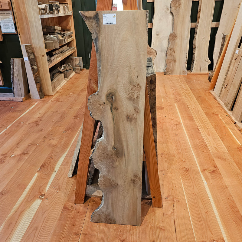 Elm 320 x 20 x 1.3