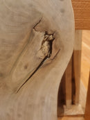 Elm (W) 160mm x (D) 23mm x (L) 0.68m