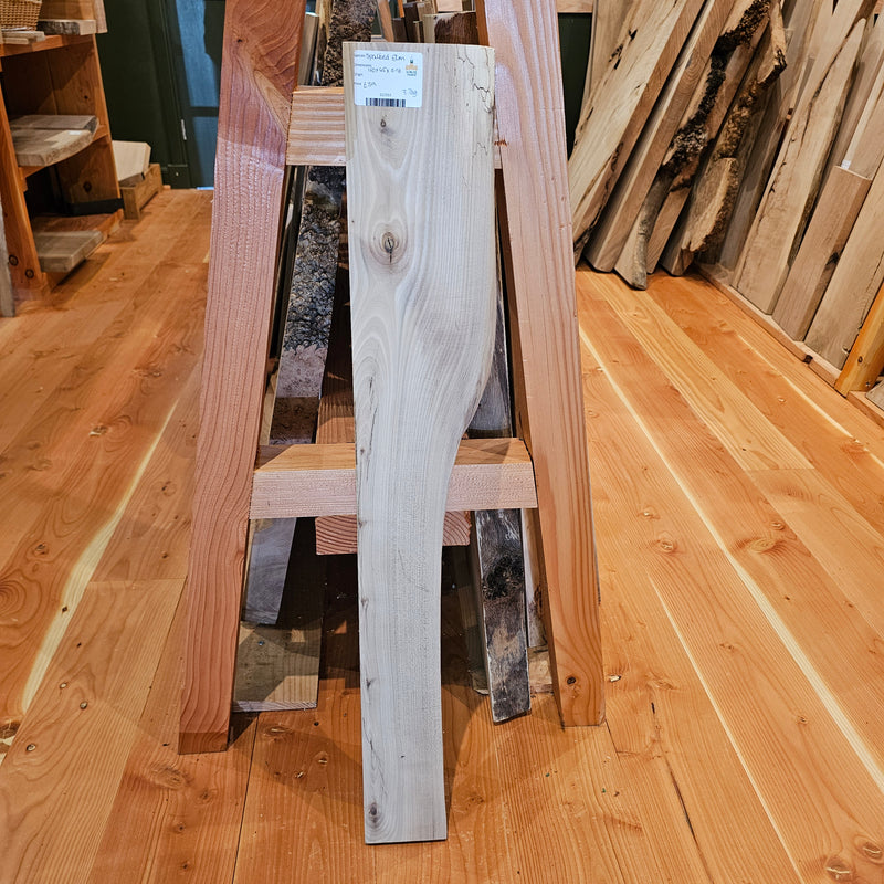 Spalted Elm 160 x 45 x 0.96