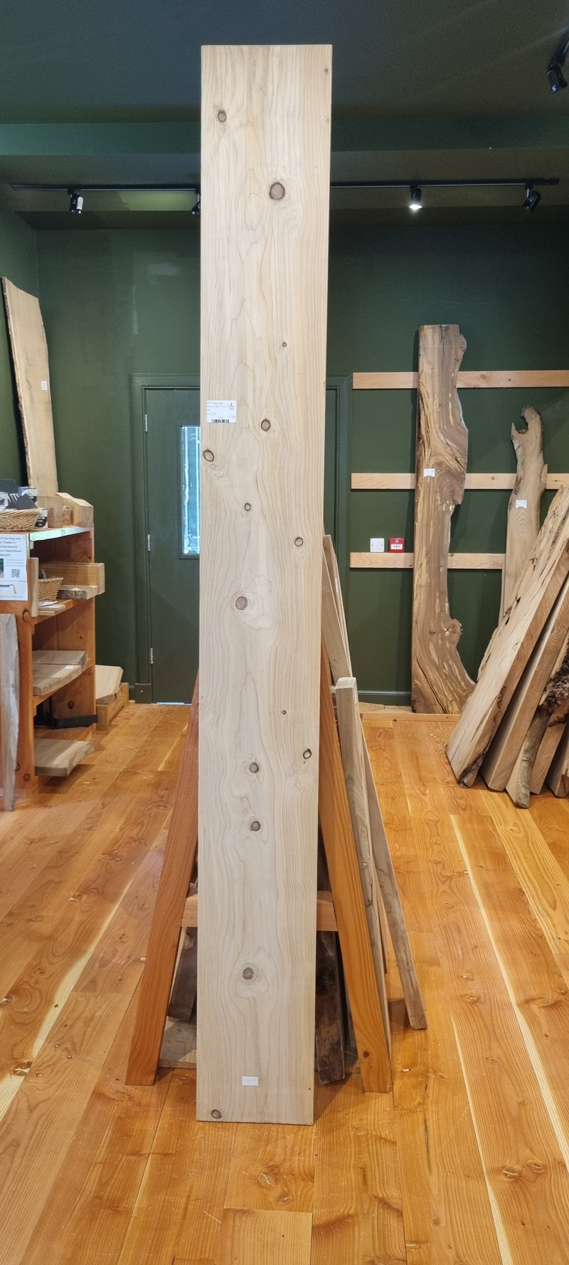 Hemlock 270 x 24 x 2.35