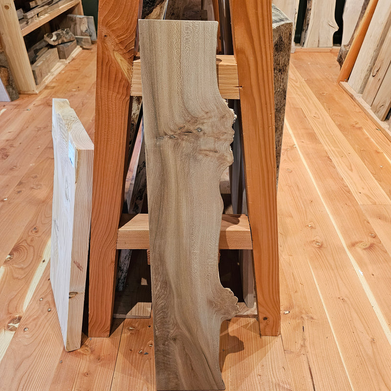 Elm 230 x 20 x 0.99