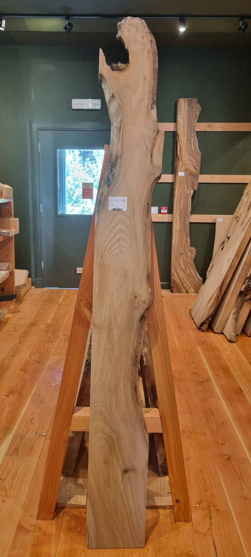 Elm 228 x 20 x 1.92