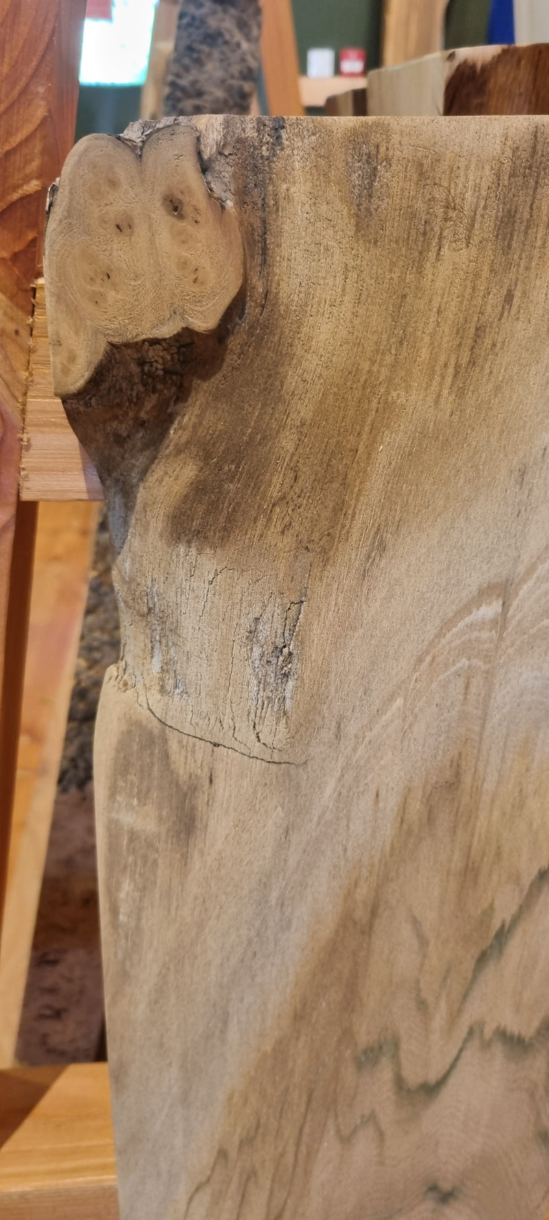 Elm 175 x 35 x 0.95