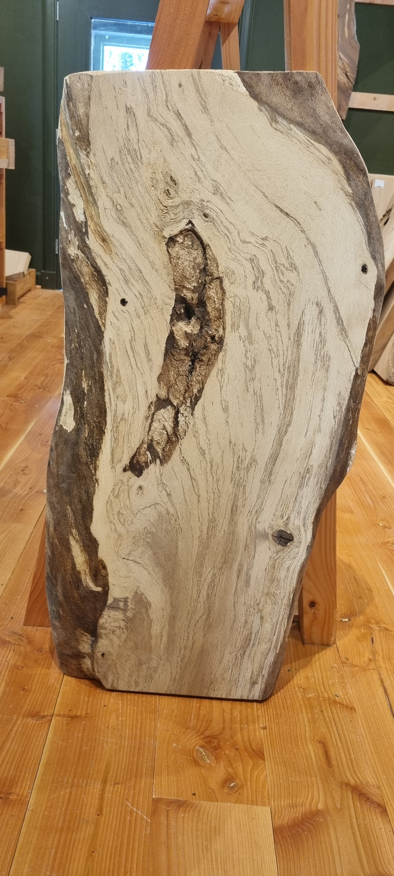 Spalted Elm 525 x 45 x 1.03