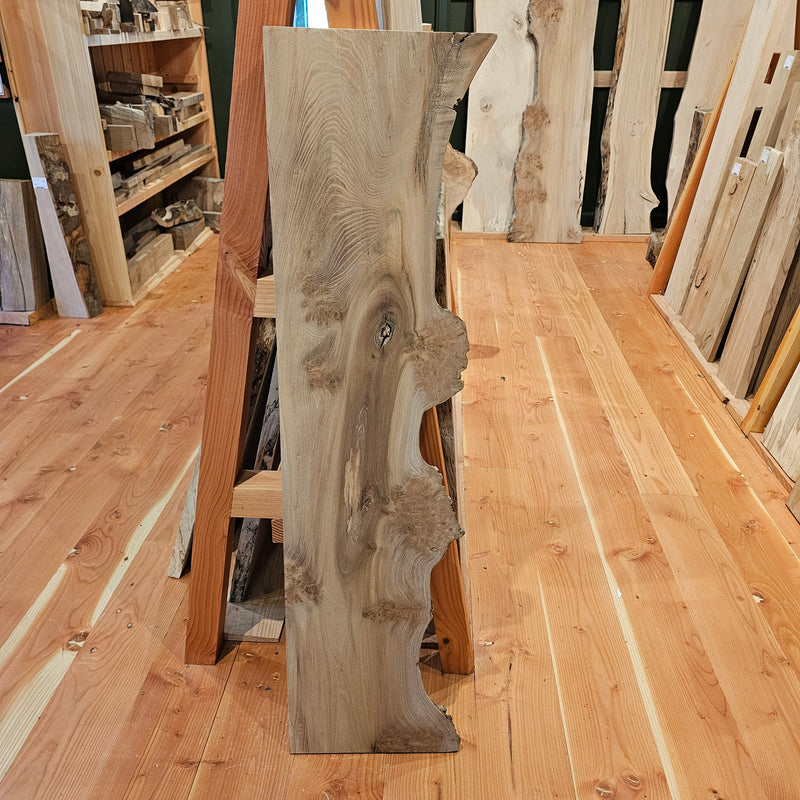 Elm 320 x 20 x 1.3