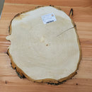 Horse Chestnut (W)320x(D)45 x(L)0.37
