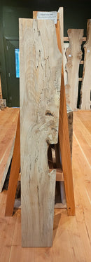 Spalted Beech