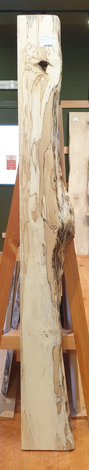 Spalted Beech  (W) 248mm x (D) 104mm x (L) 1.895m