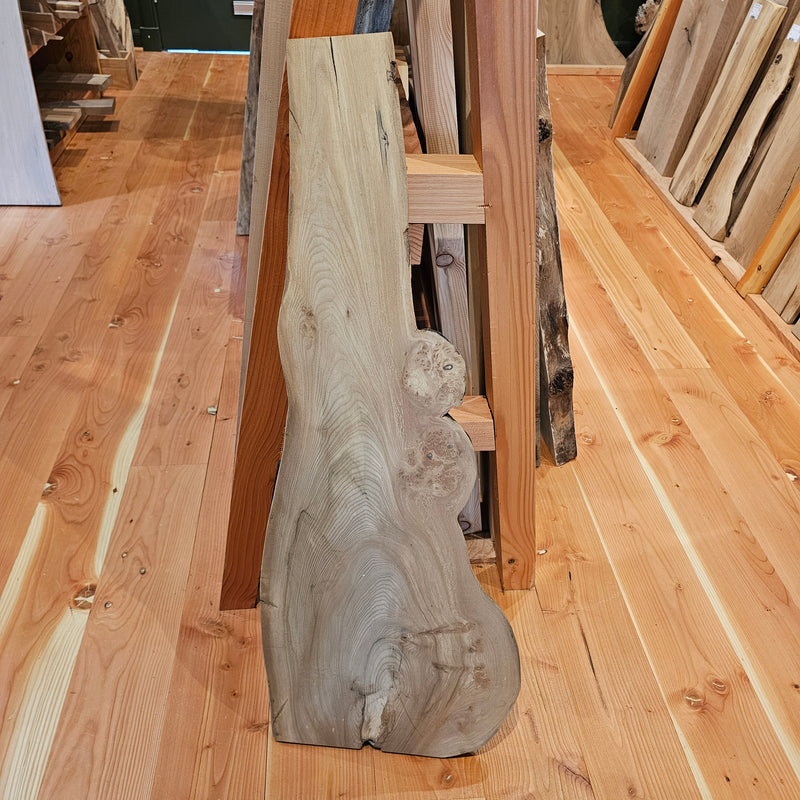 Elm 410 x 20 x 1.1