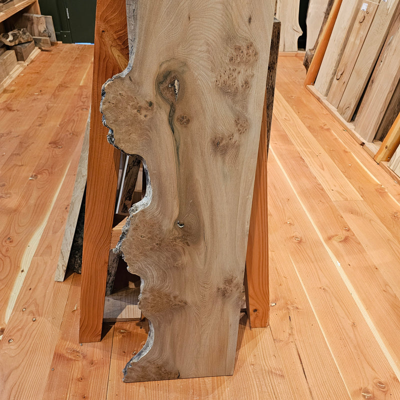 Elm 320 x 20 x 1.3