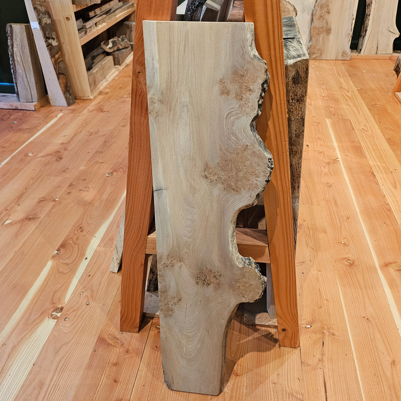 Elm 280 x 20 x 1.07