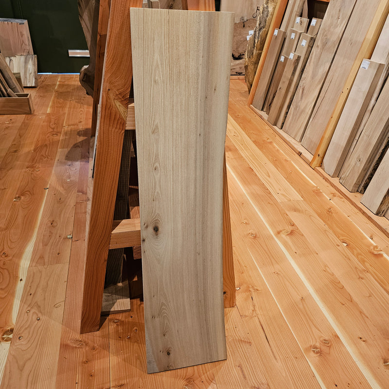 Elm 250x23x1.15