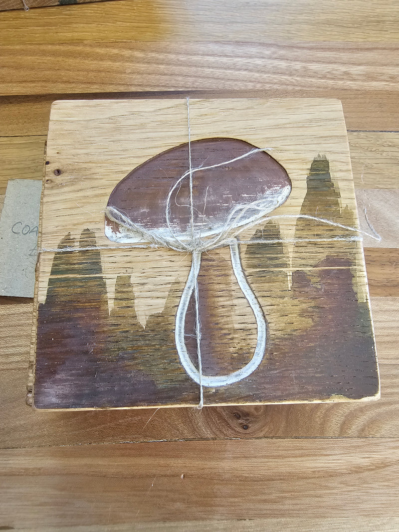 Cabin Carved Coasters