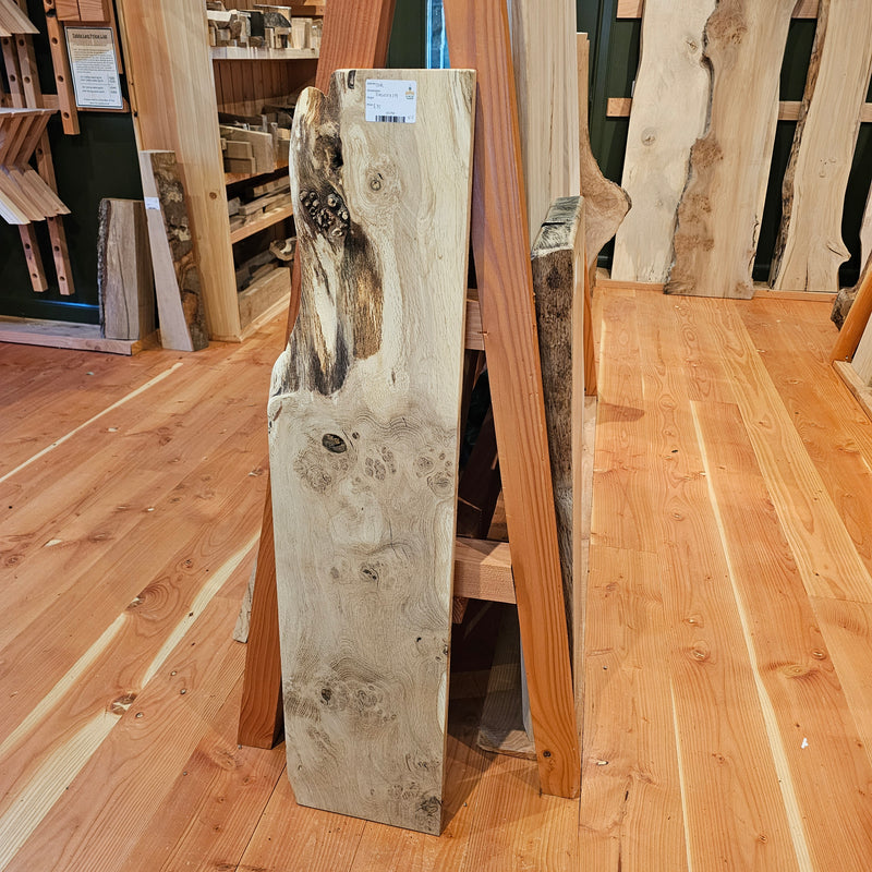 Oak 280 x 25 x 1.19